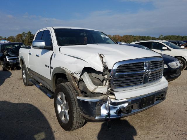 DODGE RAM 1500 2010 1d7rb1gt4as164936