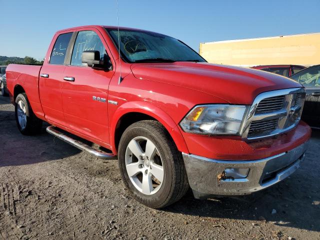 DODGE RAM 1500 2010 1d7rb1gt5as122288