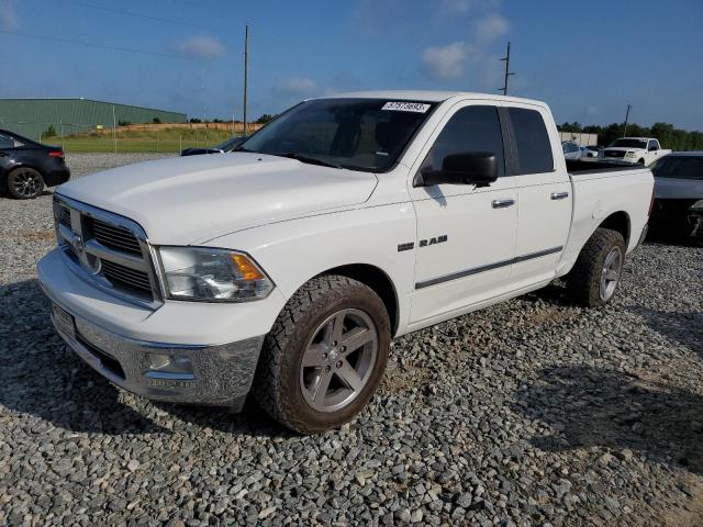 DODGE RAM 1500 2010 1d7rb1gt5as190333