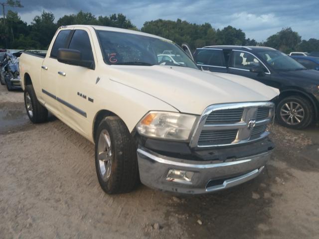 DODGE RAM 1500 2010 1d7rb1gt5as226313