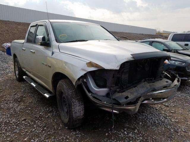 DODGE RAM 1500 2010 1d7rb1gt6as209035