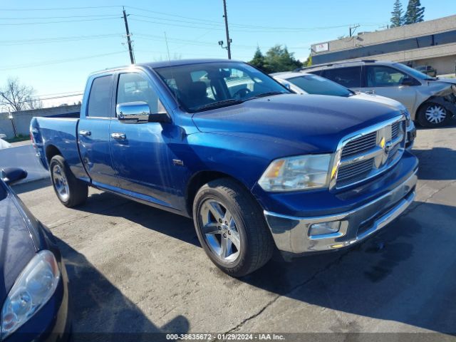 DODGE RAM 1500 2010 1d7rb1gt6as233903