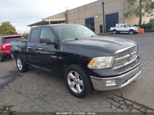 DODGE RAM 1500 2010 1d7rb1gt6as242052