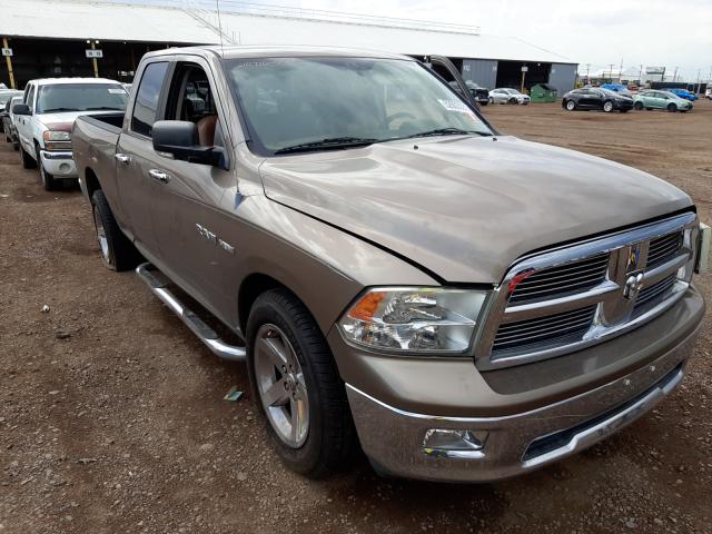 DODGE RAM 1500 2010 1d7rb1gt7as134541