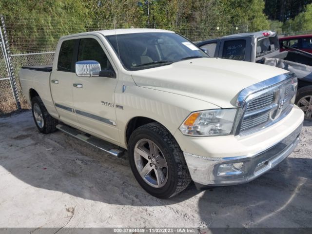 DODGE RAM 1500 2010 1d7rb1gt7as225969