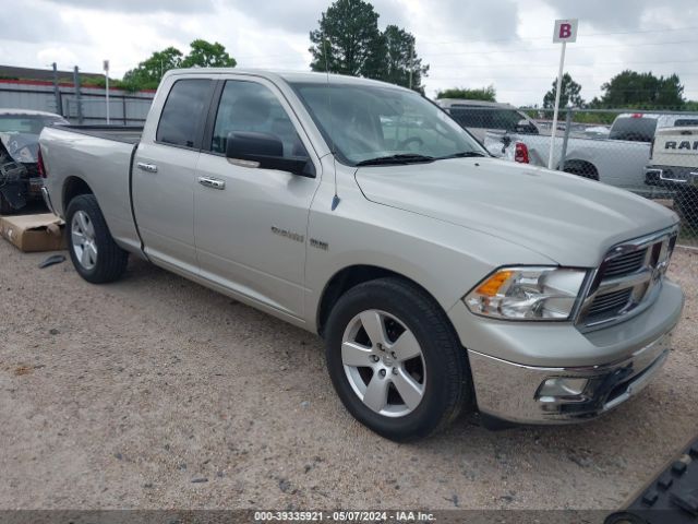 DODGE RAM 1500 2010 1d7rb1gt7as248474