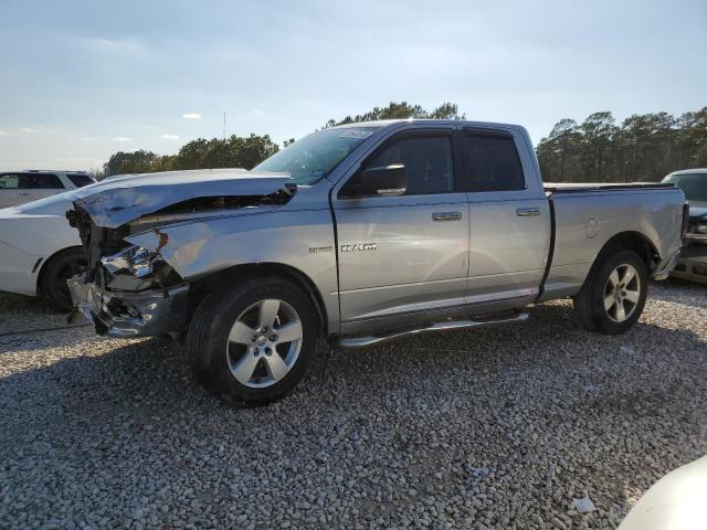 DODGE RAM 1500 2010 1d7rb1gt8as119921