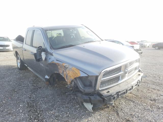 DODGE RAM 1500 2010 1d7rb1gt8as177933