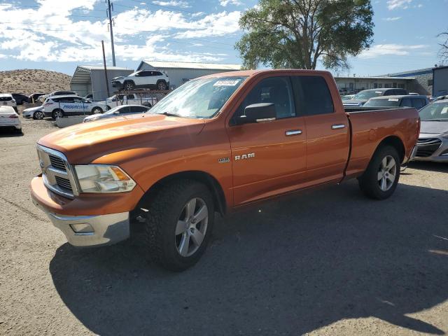 DODGE RAM 1500 2010 1d7rb1gt8as208016