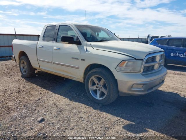 DODGE RAM 1500 2010 1d7rb1gt8as225978