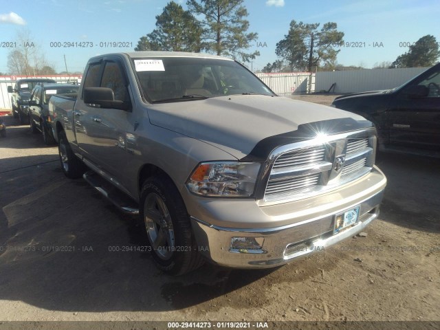 DODGE RAM 1500 2010 1d7rb1gt8as245745