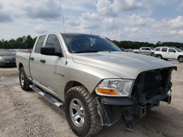 DODGE RAM 1500 2010 1d7rb1gt8as249438