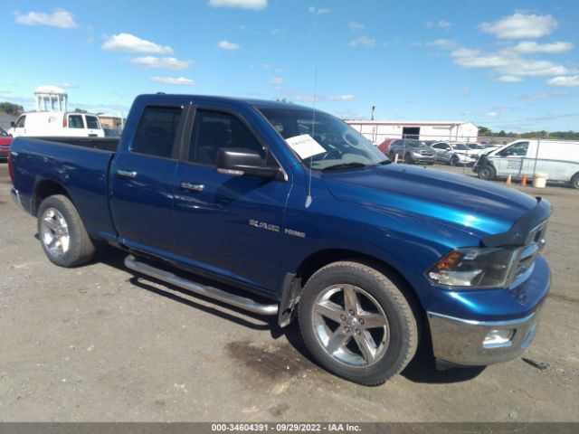 DODGE RAM 1500 2010 1d7rb1gt9as133326