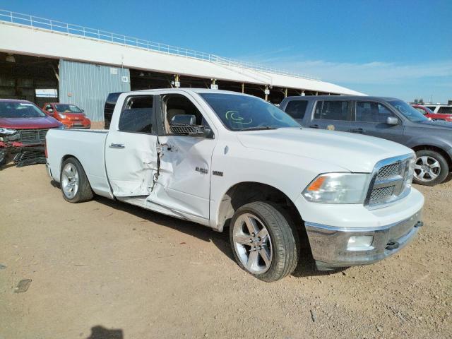 DODGE RAM 1500 2010 1d7rb1gt9as152328