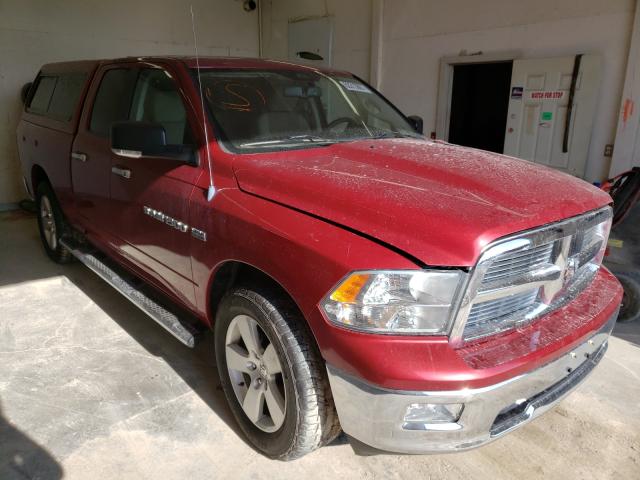 DODGE RAM 1500 2011 1d7rb1gt9bs541763