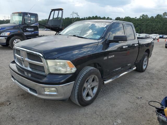 DODGE RAM 1500 2010 1d7rb1gtxas141953