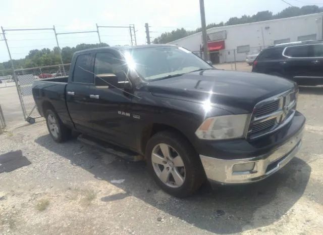 DODGE RAM 1500 2010 1d7rb1gtxas250347