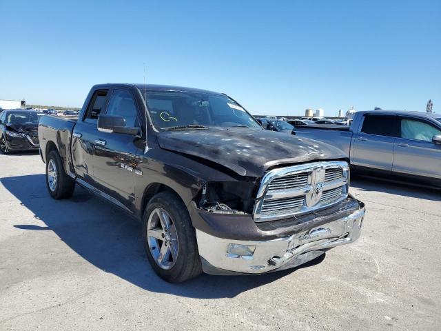 DODGE RAM 1500 2010 1d7rb1gtxas250512