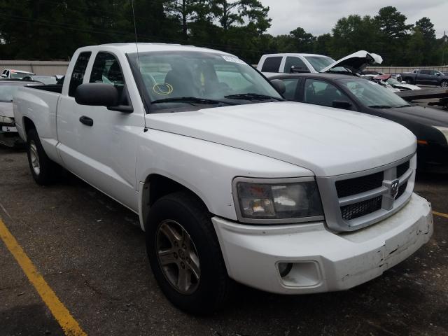 DODGE DAKOTA 2010 1d7re3bk2as244527