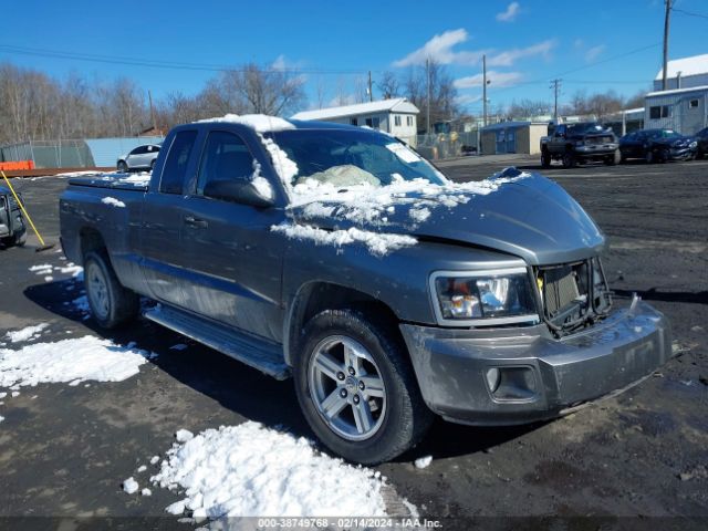 RAM DAKOTA 2011 1d7re3bk9bs619735