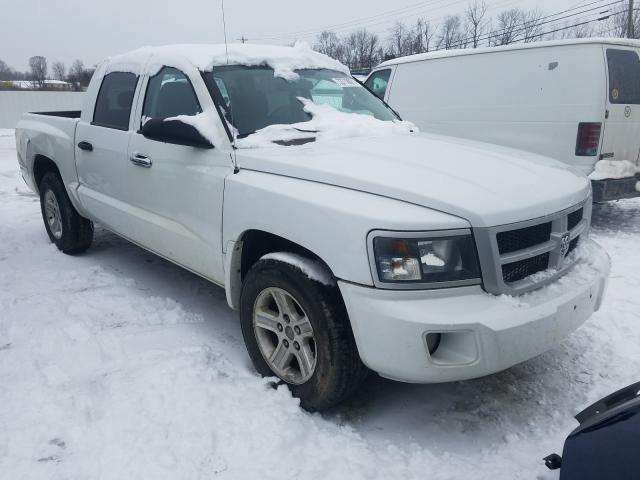 DODGE DAKOTA 2011 1d7re3gk4bs662159