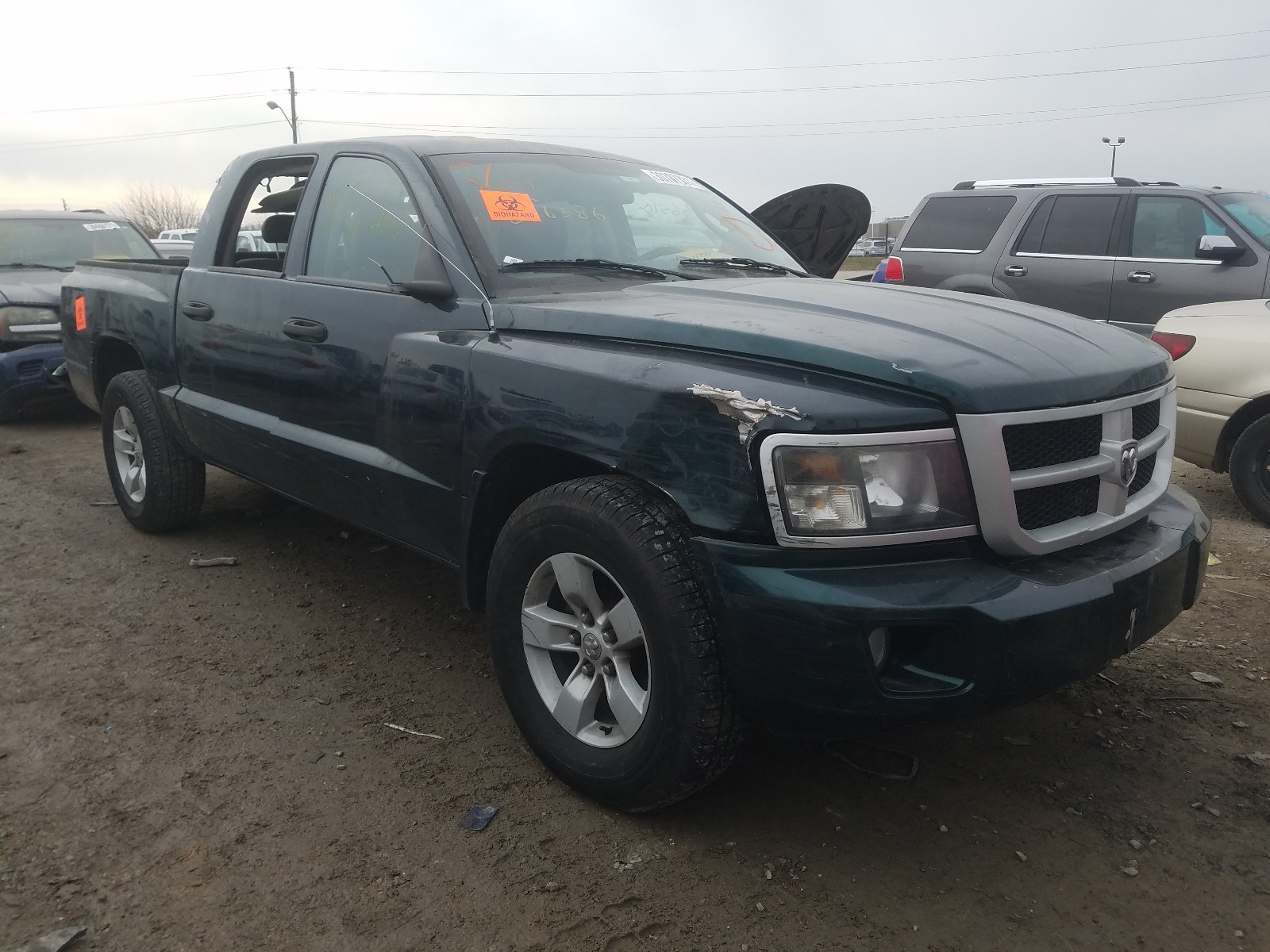 DODGE DAKOTA SLT 2011 1d7re3gkxbs606386