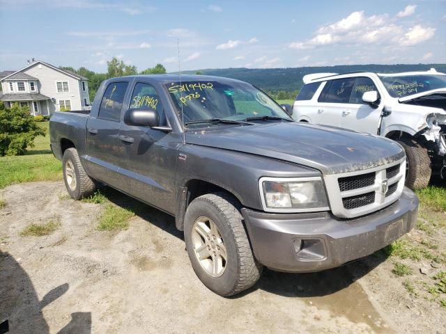 DODGE DAKOTA SLT 2011 1d7re3gp7bs708367