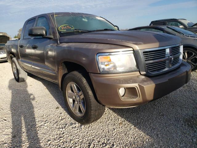 DODGE DAKOTA LAR 2010 1d7re5gk5as164224