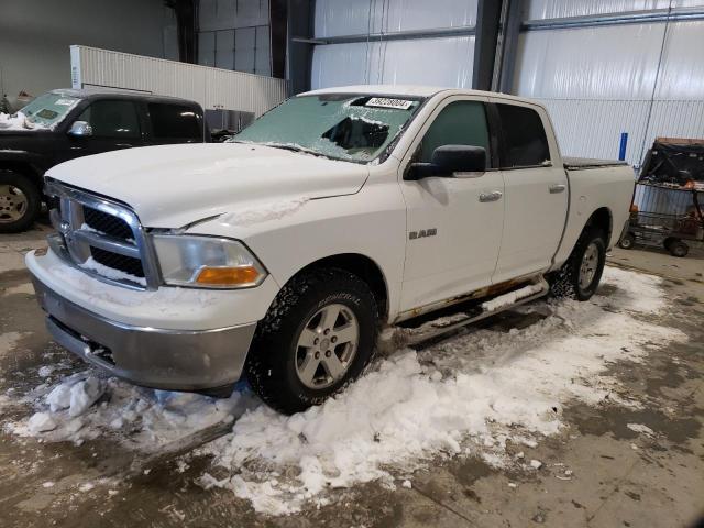 DODGE RAM 1500 2010 1d7rv1cp0as139287