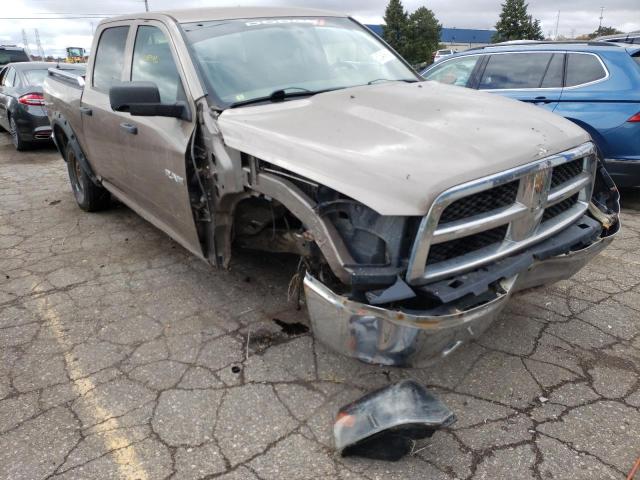 DODGE RAM 1500 2010 1d7rv1cp2as210845