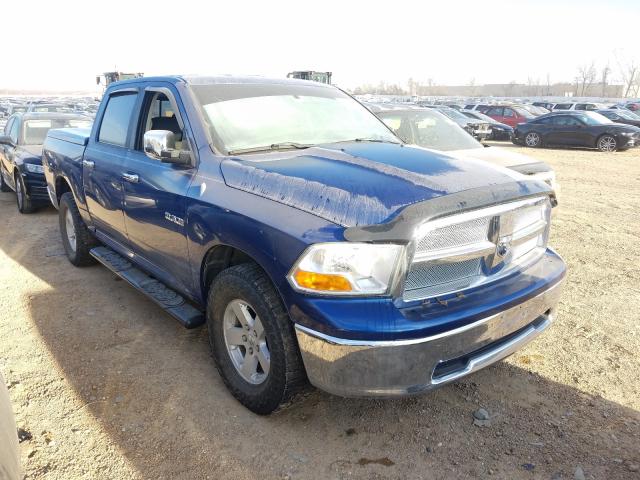 DODGE RAM 1500 2010 1d7rv1cp3as130633