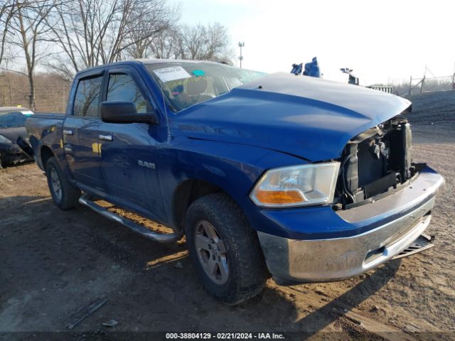 DODGE RAM 1500 2010 1d7rv1cp4as121021