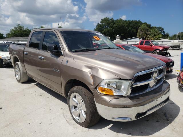 DODGE RAM 1500 2010 1d7rv1cp9as139305