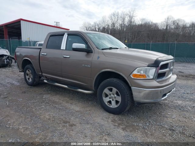 DODGE RAM 1500 2010 1d7rv1cpxas116308