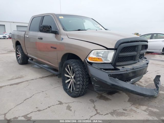 DODGE RAM 1500 2010 1d7rv1cpxas149891