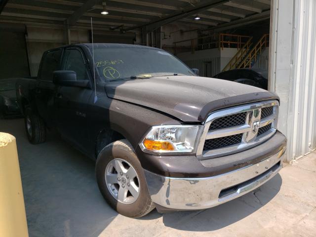 DODGE RAM 1500 2010 1d7rv1cpxas255659