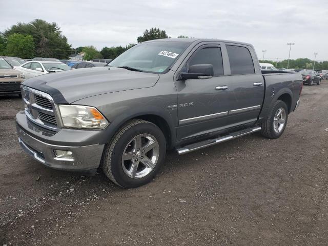 DODGE RAM 1500 2010 1d7rv1ct0as116315