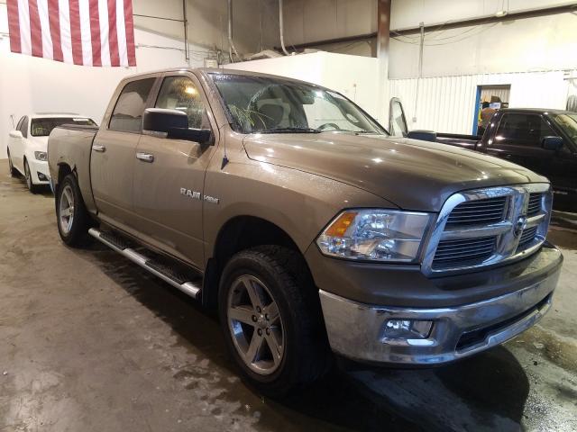 DODGE RAM 1500 2010 1d7rv1ct0as142204