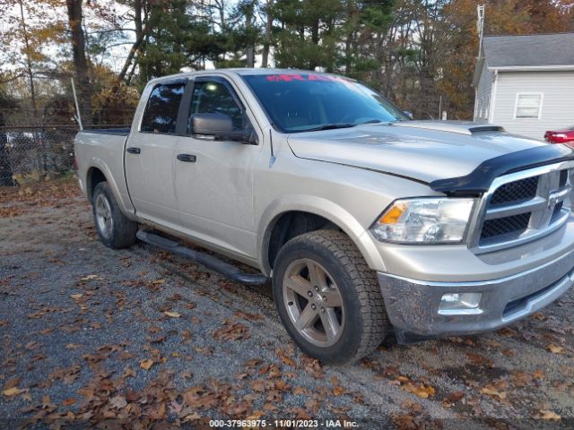 DODGE RAM 1500 2010 1d7rv1ct0as198336