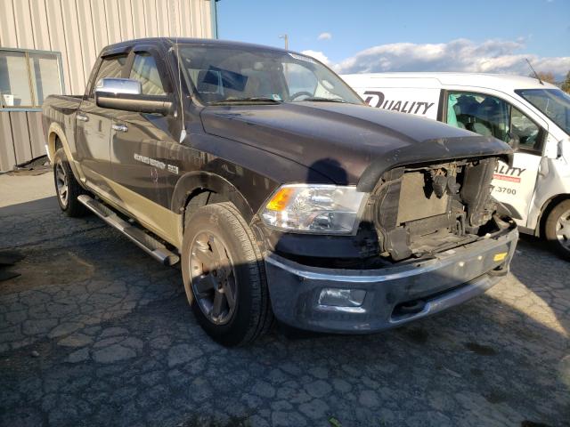 DODGE RAM 1500 2011 1d7rv1ct0bs584479