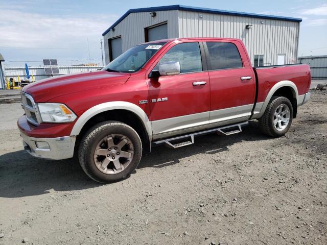 DODGE RAM 1500 2010 1d7rv1ct1as122477