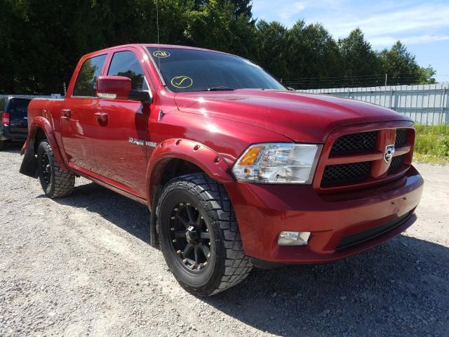 DODGE RAM 1500 2010 1d7rv1ct1as143667