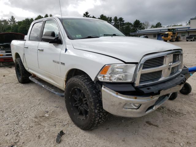 DODGE RAM 1500 2010 1d7rv1ct1as153941