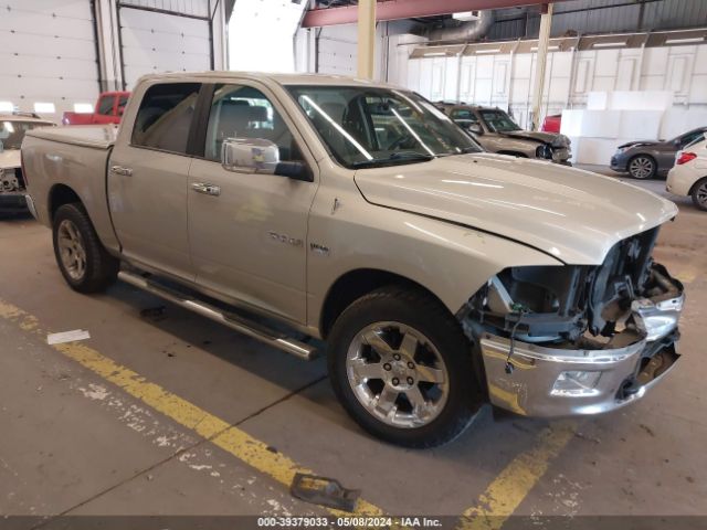 DODGE RAM 1500 2010 1d7rv1ct1as215404