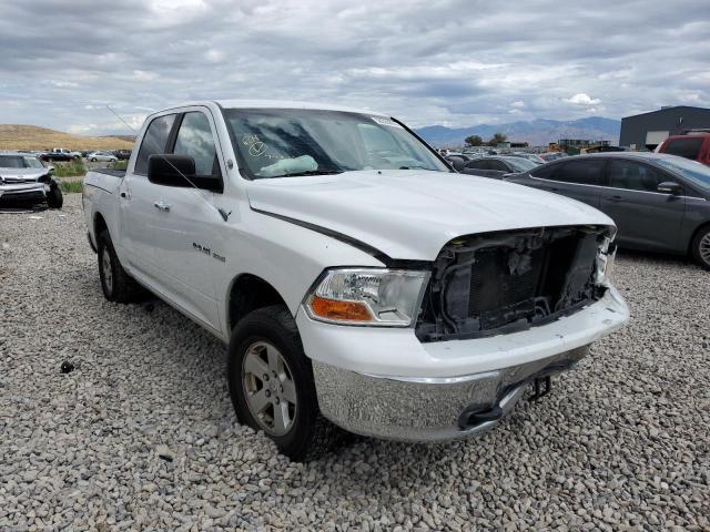 DODGE RAM 1500 2010 1d7rv1ct1as229772