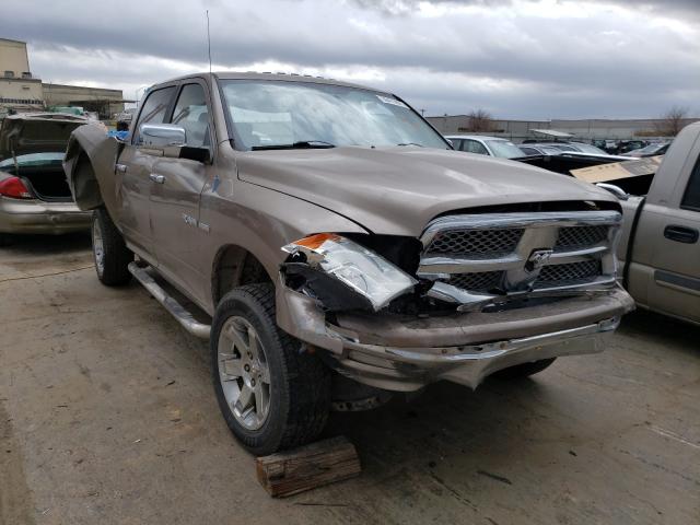 DODGE RAM 1500 2010 1d7rv1ct2as118891