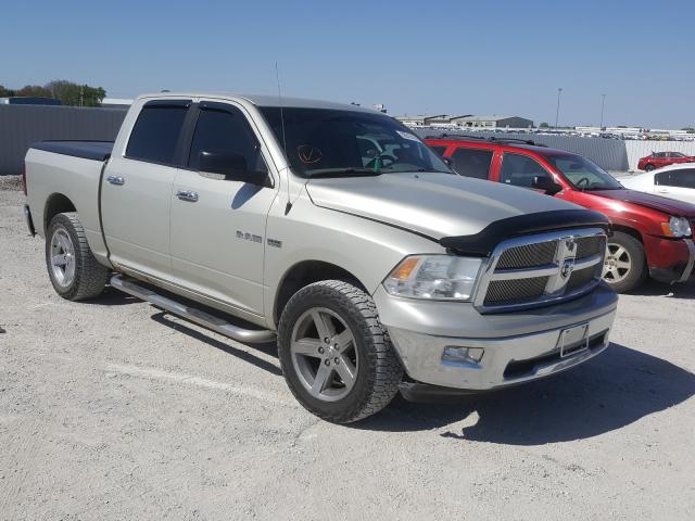 DODGE RAM 1500 2010 1d7rv1ct2as192232