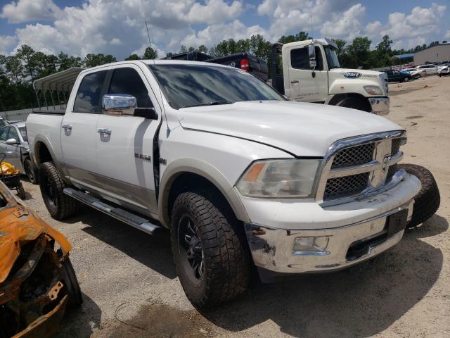 DODGE RAM 1500 2010 1d7rv1ct2as206744