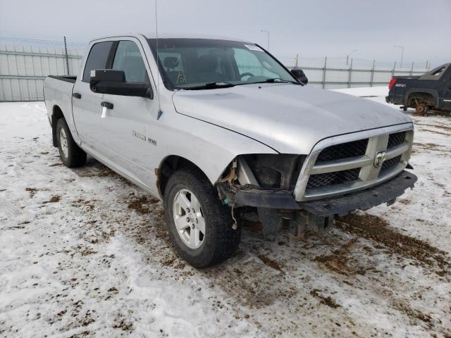 DODGE RAM 1500 2010 1d7rv1ct3as168408