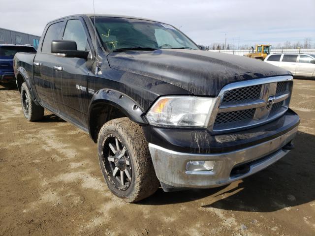 DODGE RAM 1500 2010 1d7rv1ct3as222645